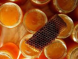 Мёд с лекарственными растениями во время беременности