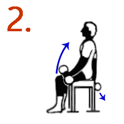 Упражнение для рук сидя на скамье