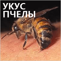 Пчела кусает