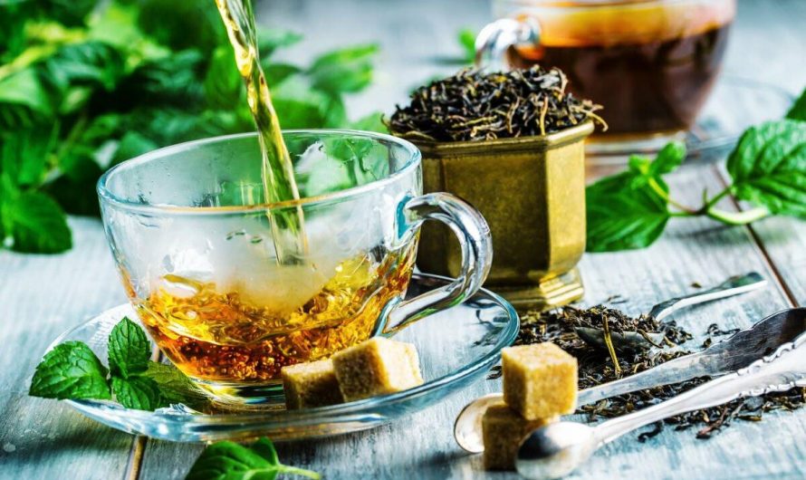 Чай: польза, вред и его влияние на организм