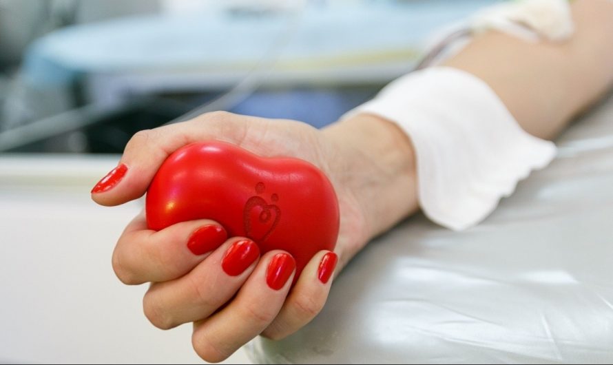 Чем полезно сдавать кровь для организма?