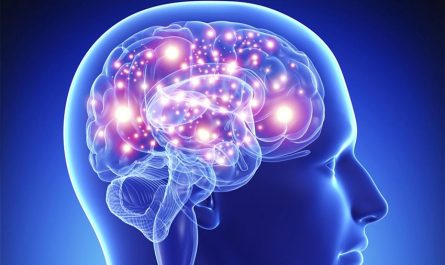 Как улучшить память и работу мозга?
