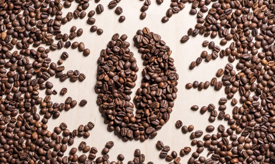 Кофе: польза, вред и его влияние на организм