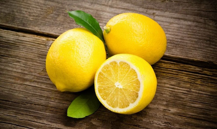 Лимон: как он полезен и как его употреблять