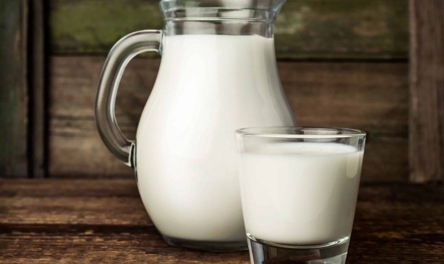 Молоко: его полезные и вредные свойства и влияние на организм.