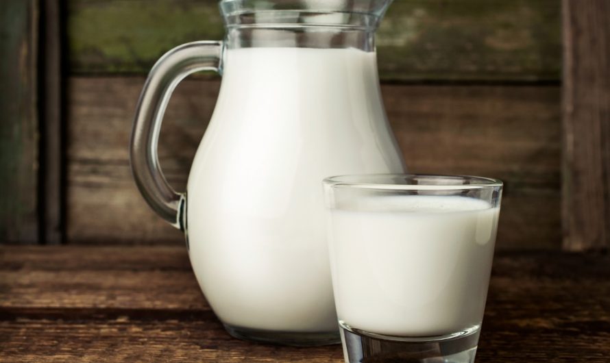 Польза и вред молока: что происходит, если пить каждый день?