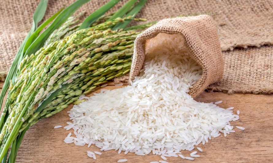 Рис: полезность и возможный вред для здоровья