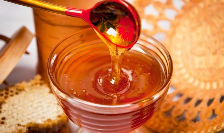 Уникальные свойства меда и его роль для организма