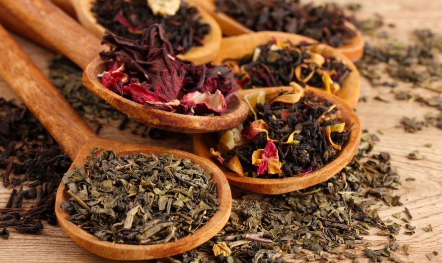 Виды и классификация чая: польза и свойства