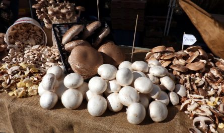 Выбираем грибы в магазине: польза и вред для организма