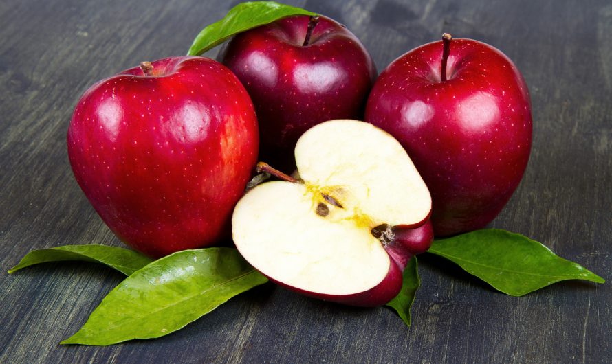 Яблоки: свойства, польза и вред для здоровья