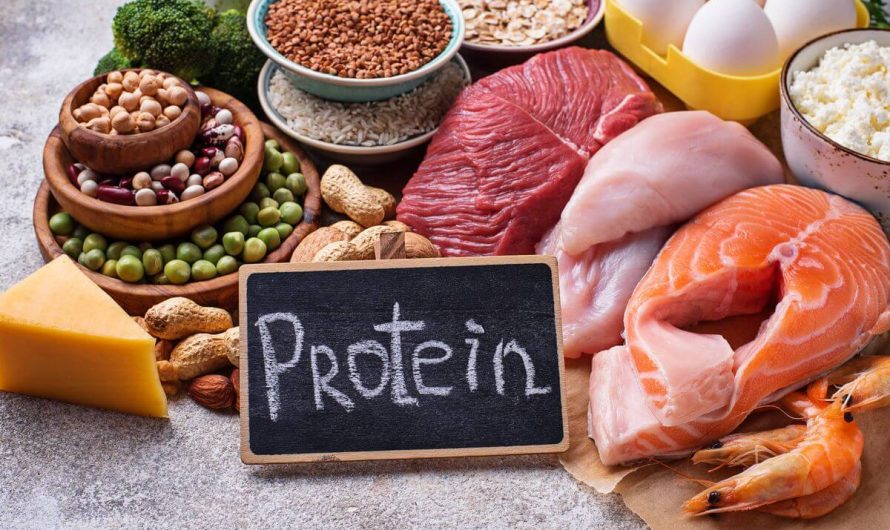 Значение белков в питании: почему они важны для здоровья?